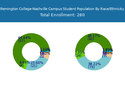 Remington College-Nashville Campus 2025 Student Population by Gender and Race chart