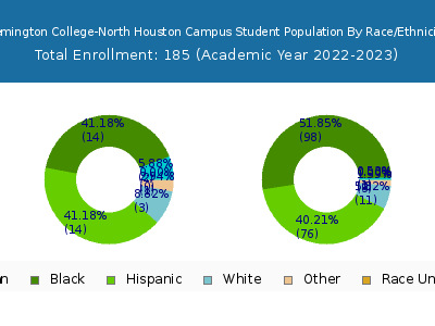 Remington College-North Houston Campus 2023 Student Population by Gender and Race chart