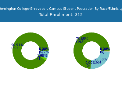Remington College-Shreveport Campus 2025 Student Population by Gender and Race chart