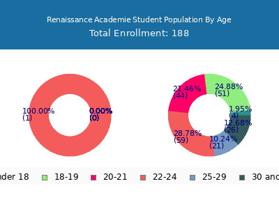 Renaissance Academie 2024 Student Population Age Diversity Pie chart