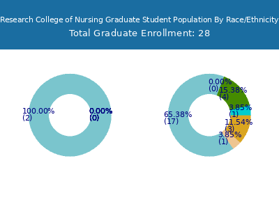 Research College of Nursing 2025 Graduate Enrollment by Gender and Race chart