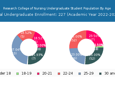 Research College of Nursing 2023 Undergraduate Enrollment Age Diversity Pie chart