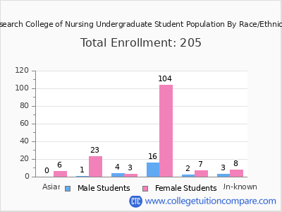 Research College of Nursing 2025 Undergraduate Enrollment by Gender and Race chart