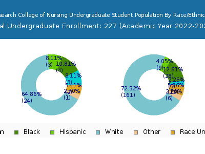 Research College of Nursing 2023 Undergraduate Enrollment by Gender and Race chart