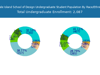 Rhode Island School of Design 2025 Undergraduate Enrollment by Gender and Race chart