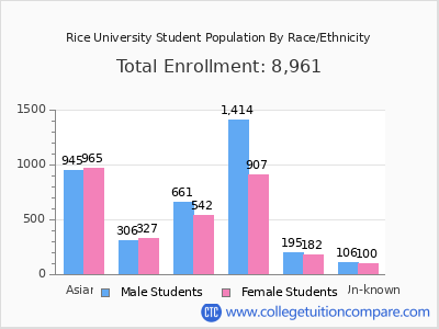 Rice University 2025 Student Population by Gender and Race chart
