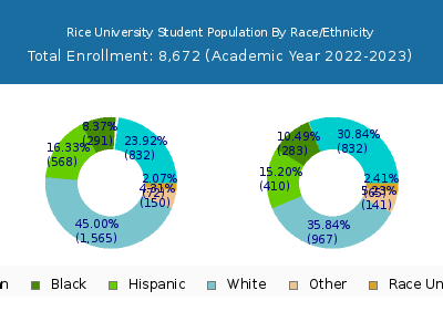 Rice University 2023 Student Population by Gender and Race chart