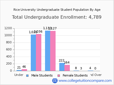 Rice University 2025 Undergraduate Enrollment by Age chart