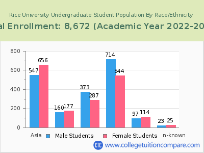 Rice University 2023 Undergraduate Enrollment by Gender and Race chart
