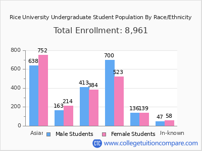 Rice University 2025 Undergraduate Enrollment by Gender and Race chart