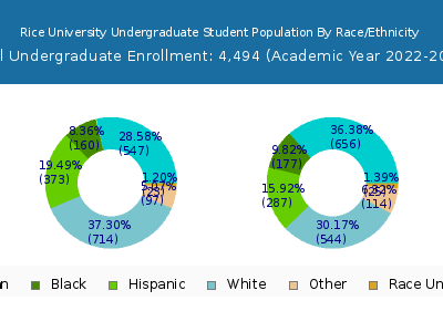 Rice University 2023 Undergraduate Enrollment by Gender and Race chart