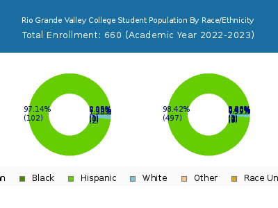 Rio Grande Valley College 2023 Student Population by Gender and Race chart