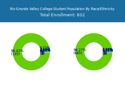 Rio Grande Valley College 2025 Student Population by Gender and Race chart
