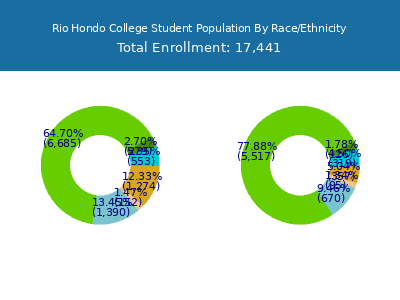 Rio Hondo College 2025 Student Population by Gender and Race chart