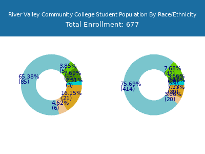 River Valley Community College 2025 Student Population by Gender and Race chart