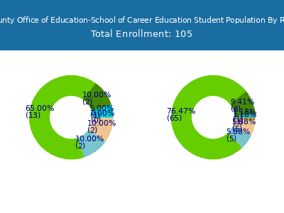 Riverside County Office of Education-School of Career Education 2025 Student Population by Gender and Race chart
