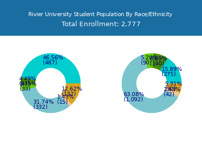 Rivier University 2025 Student Population by Gender and Race chart