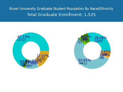Rivier University 2025 Graduate Enrollment by Gender and Race chart