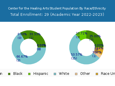 Center for the Healing Arts 2023 Student Population by Gender and Race chart