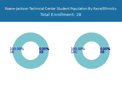 Roane-Jackson Technical Center 2025 Student Population by Gender and Race chart