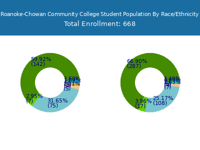 Roanoke-Chowan Community College 2025 Student Population by Gender and Race chart