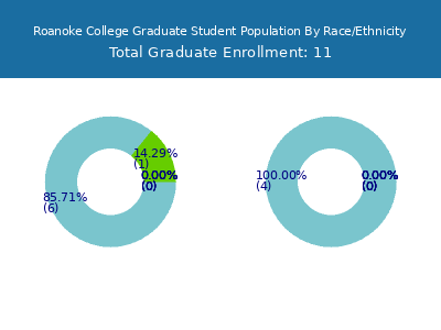 Roanoke College 2025 Graduate Enrollment by Gender and Race chart