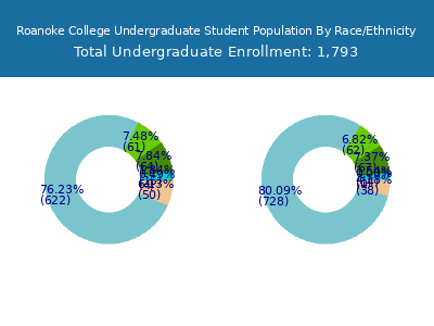 Roanoke College 2025 Undergraduate Enrollment by Gender and Race chart
