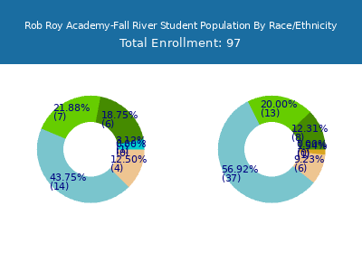 Rob Roy Academy-Fall River 2025 Student Population by Gender and Race chart