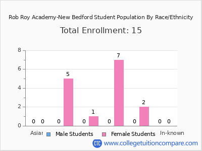 Rob Roy Academy-New Bedford 2025 Student Population by Gender and Race chart