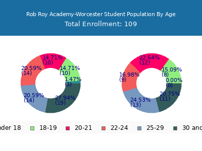 Rob Roy Academy-Worcester 2024 Student Population Age Diversity Pie chart