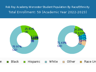 Rob Roy Academy-Worcester 2023 Student Population by Gender and Race chart