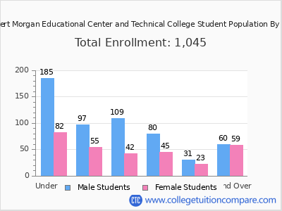 Robert Morgan Educational Center and Technical College 2024 Student Population by Age chart