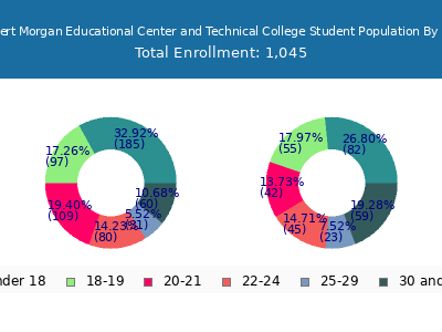 Robert Morgan Educational Center and Technical College 2024 Student Population Age Diversity Pie chart
