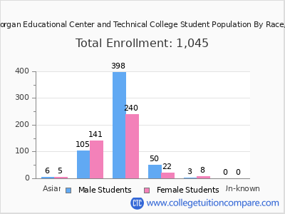 Robert Morgan Educational Center and Technical College 2025 Student Population by Gender and Race chart