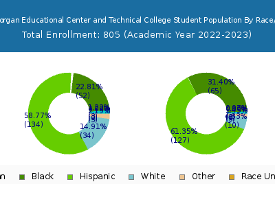Robert Morgan Educational Center and Technical College 2023 Student Population by Gender and Race chart
