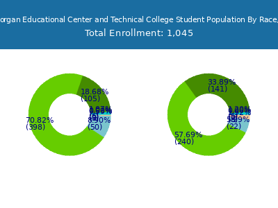 Robert Morgan Educational Center and Technical College 2025 Student Population by Gender and Race chart