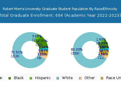 Robert Morris University 2023 Graduate Enrollment by Gender and Race chart