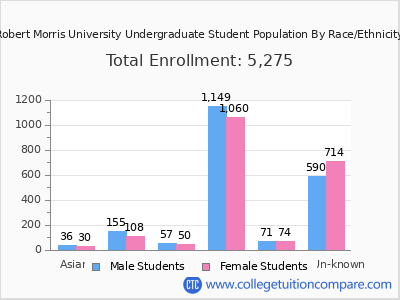Robert Morris University 2025 Undergraduate Enrollment by Gender and Race chart