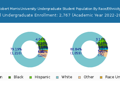 Robert Morris University 2023 Undergraduate Enrollment by Gender and Race chart