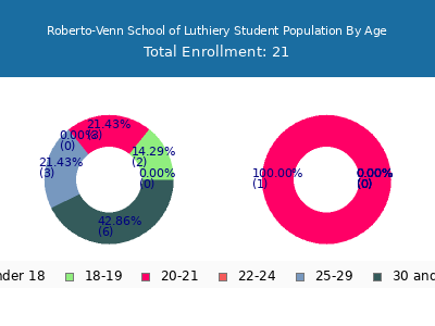 Roberto-Venn School of Luthiery 2024 Student Population Age Diversity Pie chart