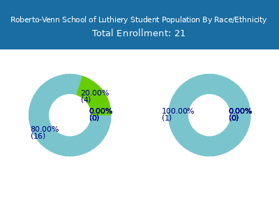 Roberto-Venn School of Luthiery 2025 Student Population by Gender and Race chart
