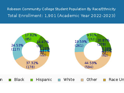 Robeson Community College 2023 Student Population by Gender and Race chart