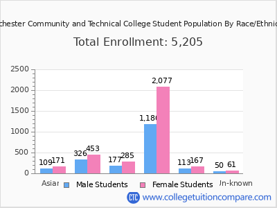 Rochester Community and Technical College 2025 Student Population by Gender and Race chart