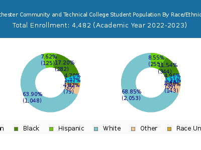 Rochester Community and Technical College 2023 Student Population by Gender and Race chart