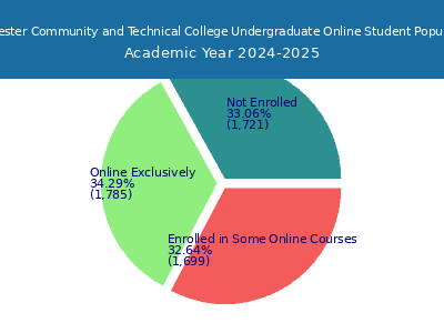 Rochester Community and Technical College 2025 Online Student Population chart
