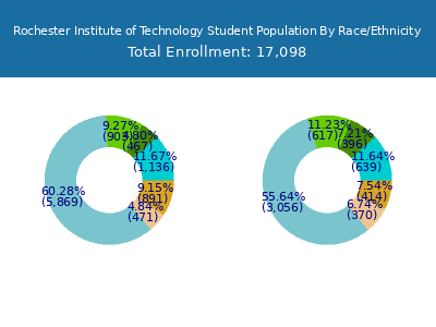 Rochester Institute of Technology 2025 Student Population by Gender and Race chart