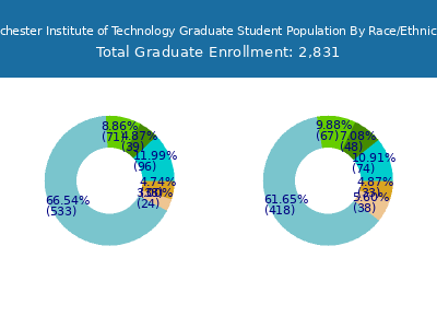 Rochester Institute of Technology 2025 Graduate Enrollment by Gender and Race chart