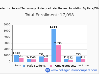 Rochester Institute of Technology 2025 Undergraduate Enrollment by Gender and Race chart
