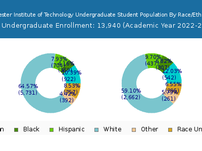 Rochester Institute of Technology 2023 Undergraduate Enrollment by Gender and Race chart