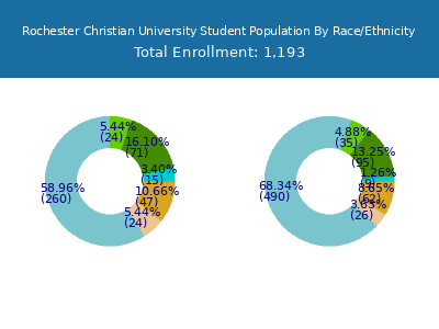 Rochester Christian University 2025 Student Population by Gender and Race chart